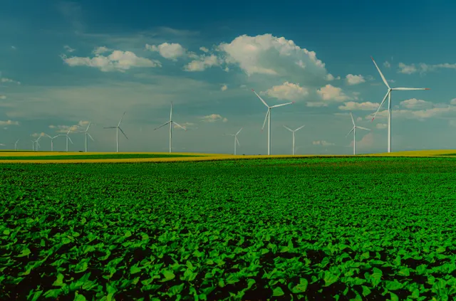 Wind turbines across agricultural fields