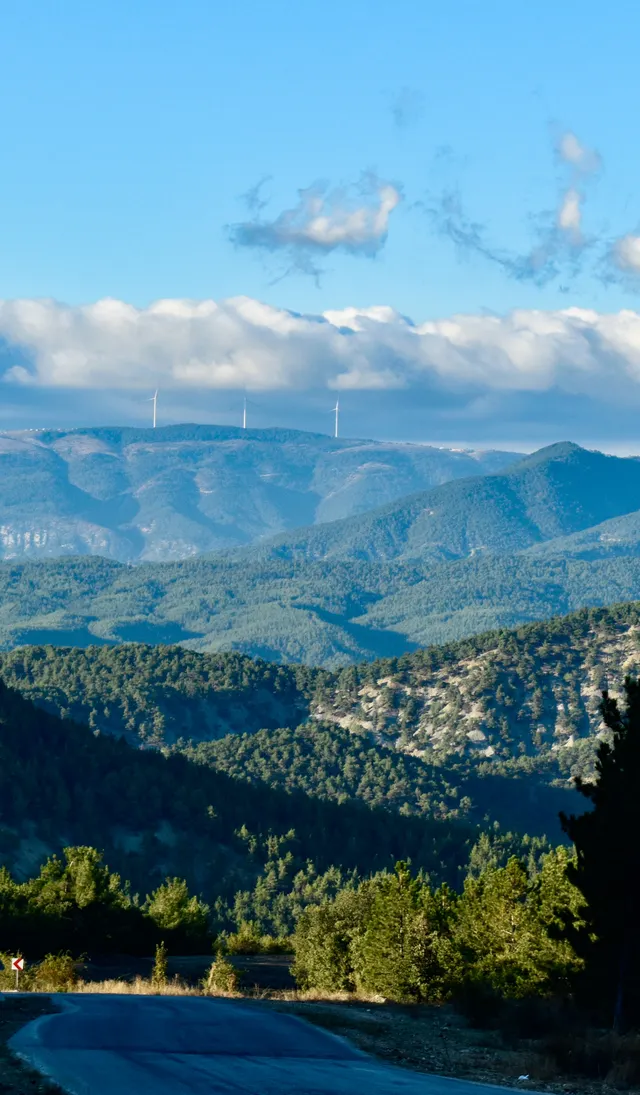 Wind turbines on forested mountain ridges